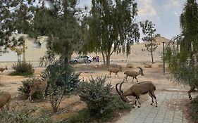 הבית המדברי